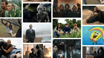 Sustaining Franchises For The Long Term