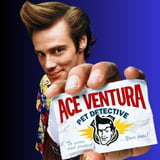 Ace Ventura Pet Detective