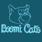 Boomi Cats