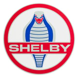 Shelby 
