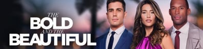 The Bold and the Beautiful hero