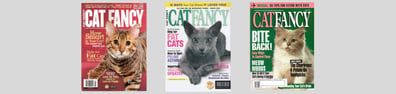 CAT FANCY E-Magazine hero