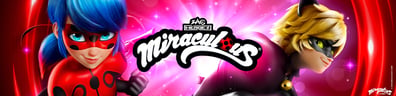 Miraculous: Tales of Ladybug & Cat Noir hero