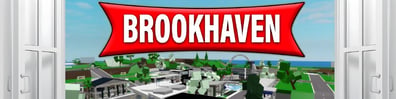 Brookhaven hero