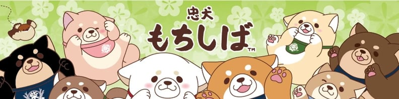 忠犬もちしば (MOCHISHIBA) hero