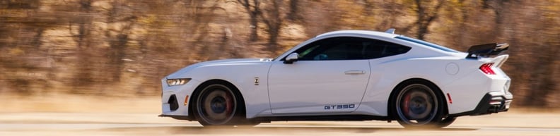 Shelby  hero
