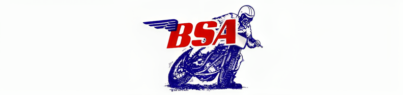 BSA hero