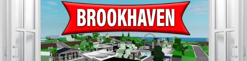 Brookhaven hero