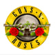 Guns N' Roses
