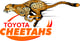 The Free State Cheetahs Rugby Union