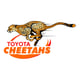 The Free State Cheetahs Rugby Union